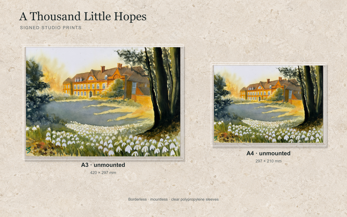 Illustrative mock-up of A4 and A3 borderless signed prints, unmounted in clear polypropylene bags, featuring A Thousand Little Hopes.
