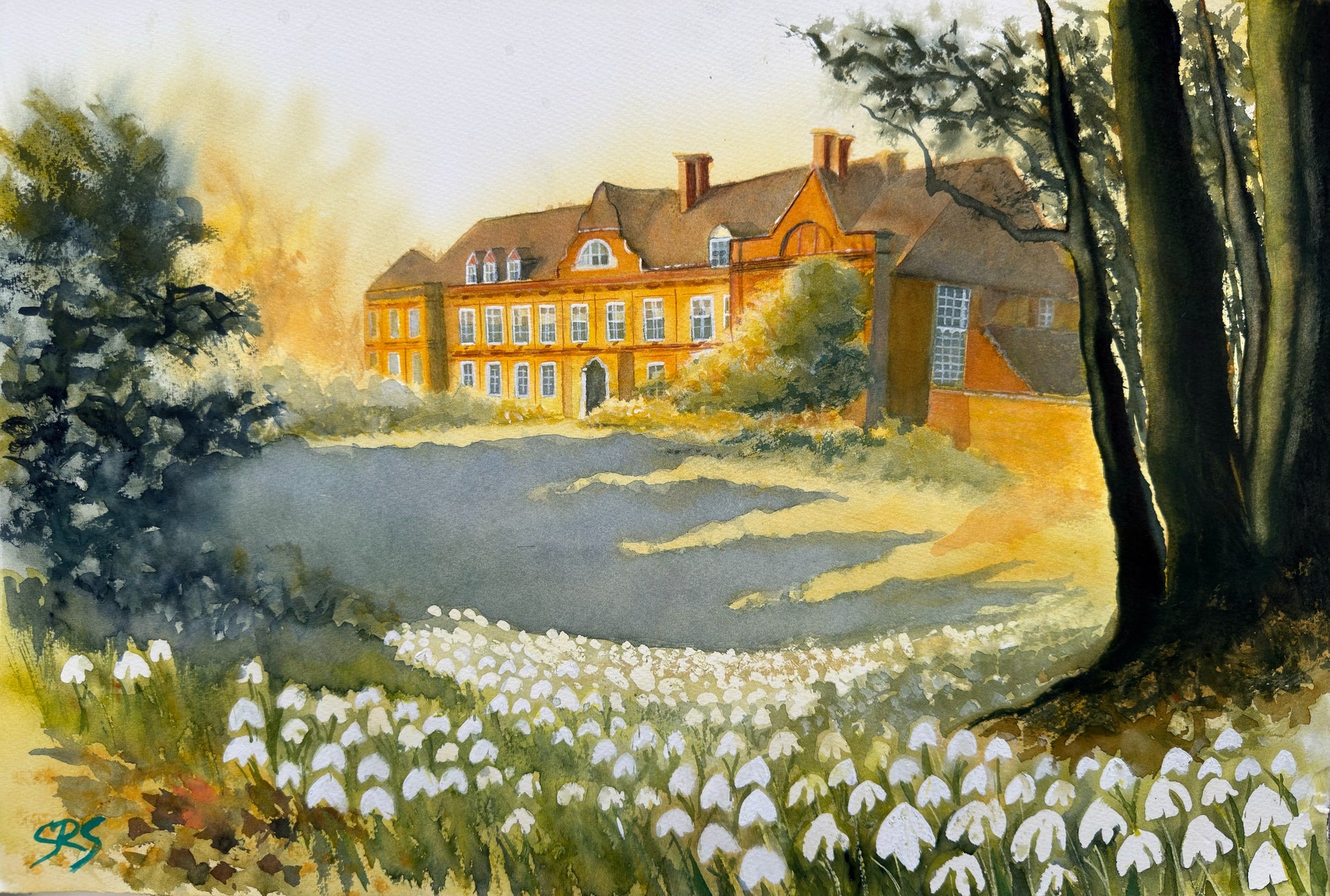 A Thousand Little Hopes watercolour of snowdrops and early spring at West Horsley Place.
