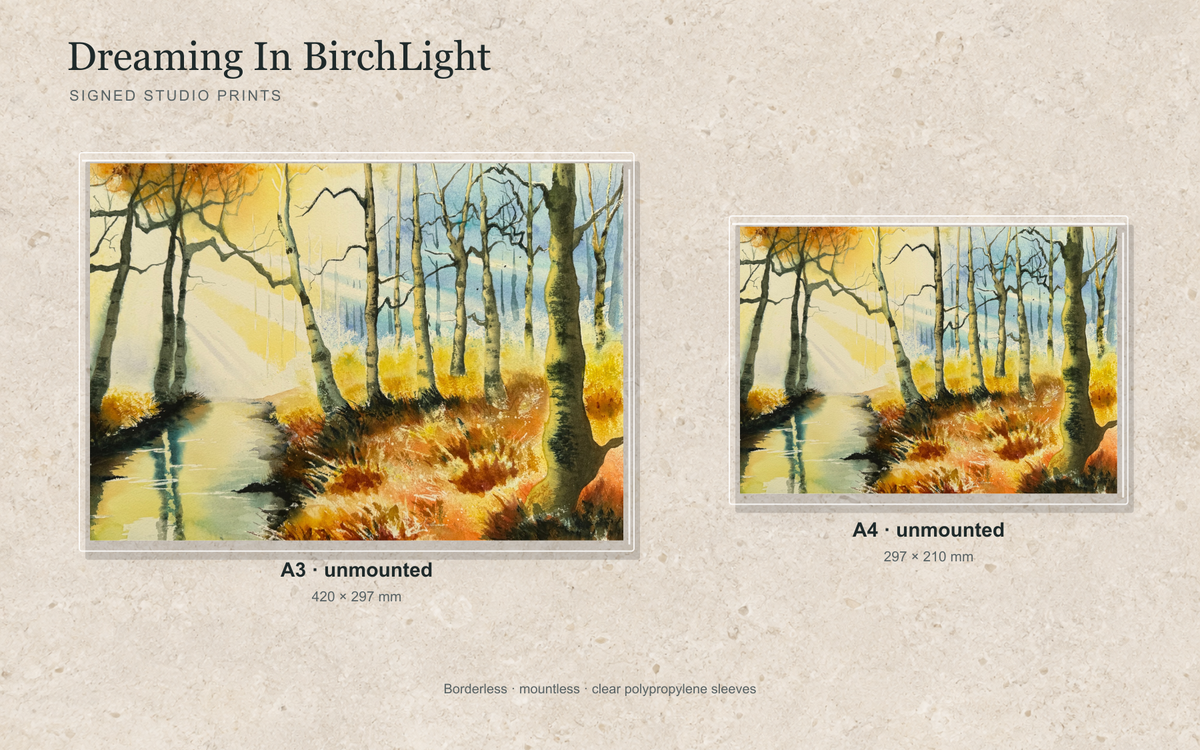 Illustrative mock-up of A4 and A3 borderless signed prints, unmounted in clear polypropylene bags, featuring Dreaming In BirchLight.