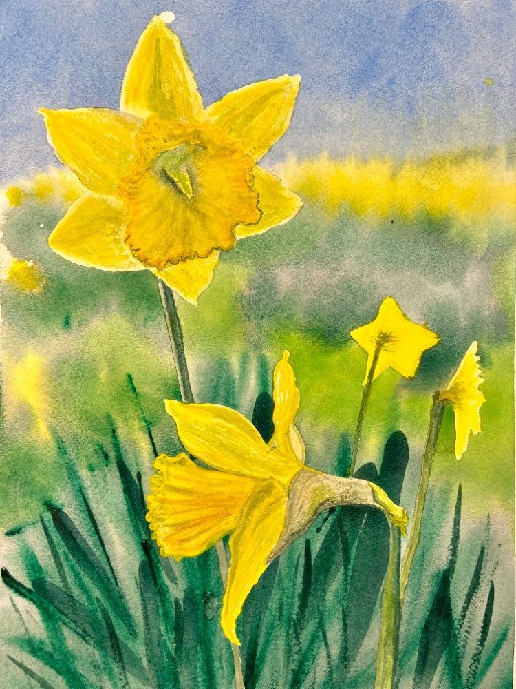 Hope In Bloom watercolour showing bright yellow daffodils in spring light.