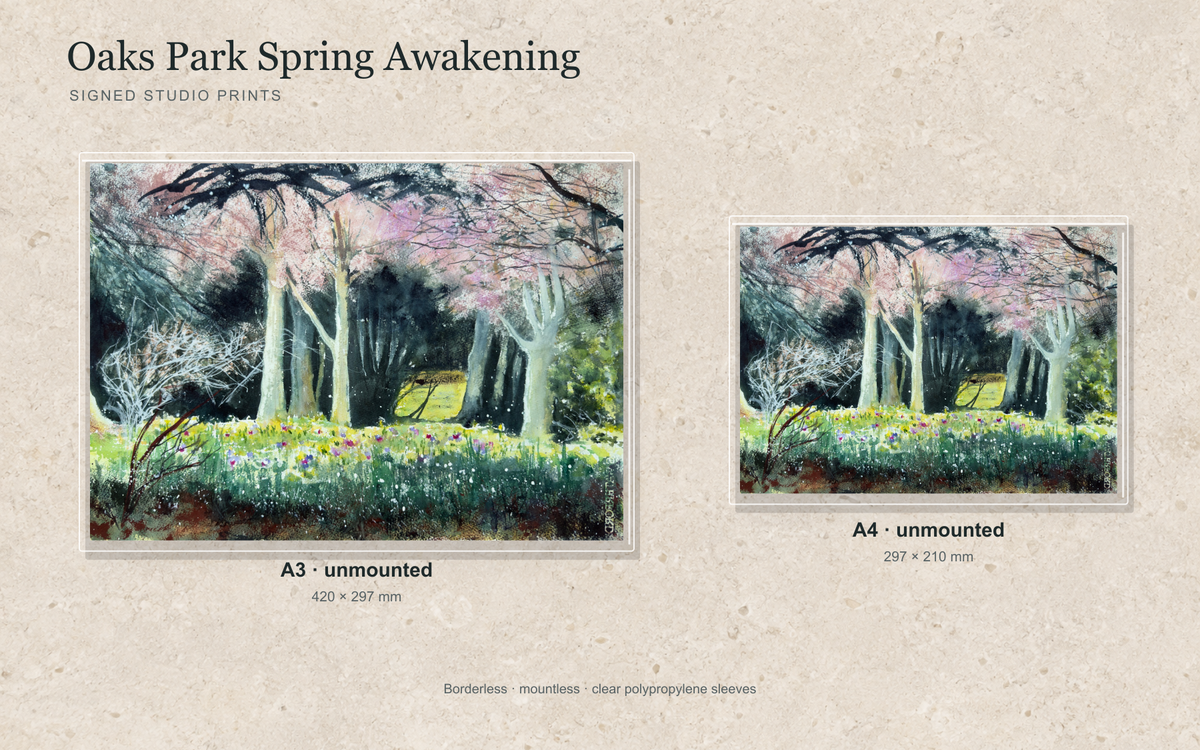 Illustrative mock-up of A4 and A3 borderless signed prints, unmounted in clear polypropylene bags, featuring Oaks Park Spring Awakening.