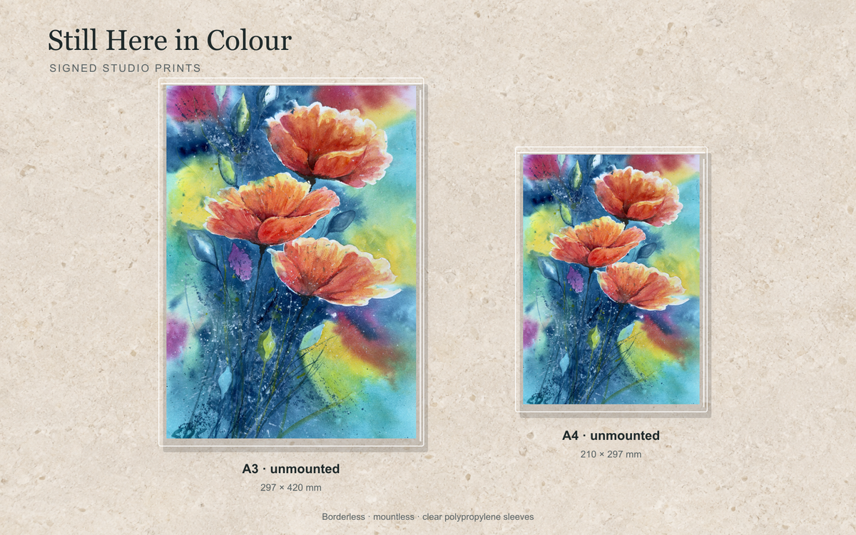 Illustrative mock-up of A4 and A3 borderless signed prints, unmounted in clear polypropylene bags, featuring Still Here in Colour.