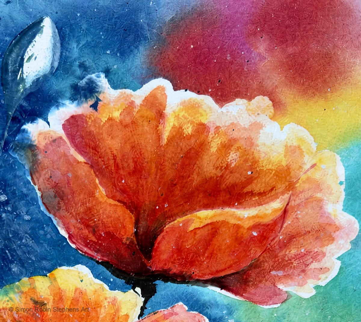 Still Here in Colour watercolour detail showing an orange-red poppy with deep blue, turquoise and warm colour washes.