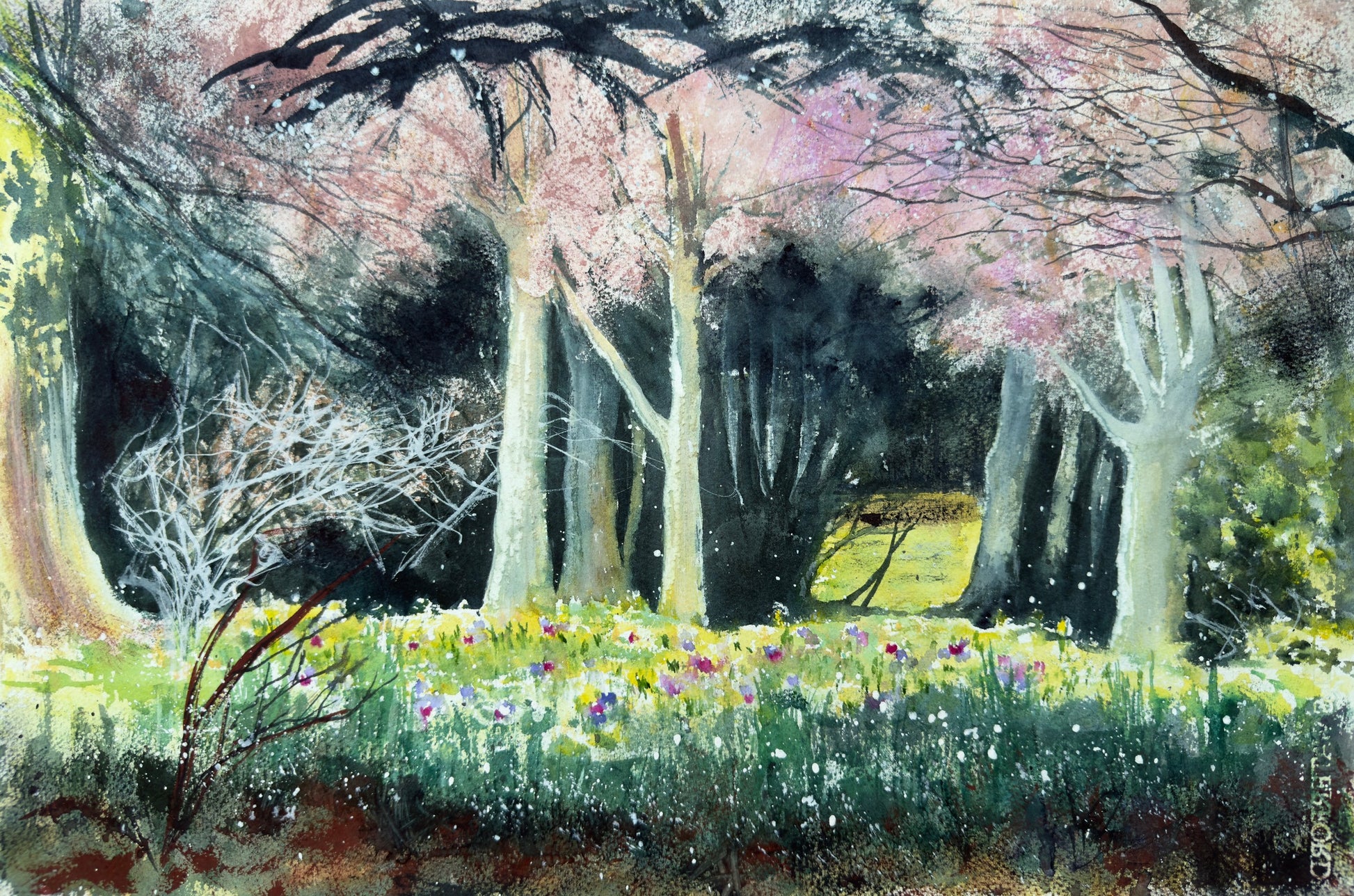 The Place the Light Found watercolour of woodland light and spring blossom at Oaks Park.
