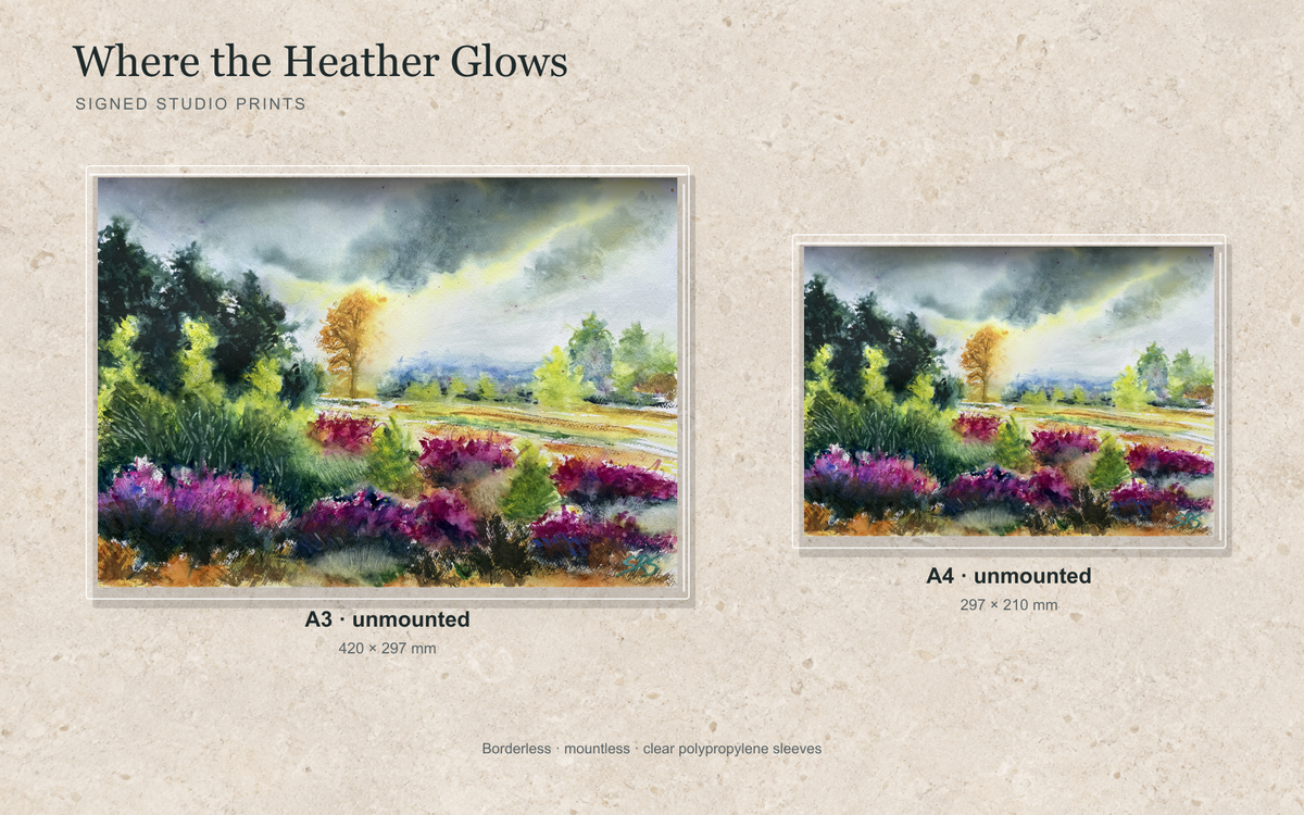 Illustrative mock-up of A4 and A3 borderless signed prints, unmounted in clear polypropylene bags, featuring Where the Heather Glows.