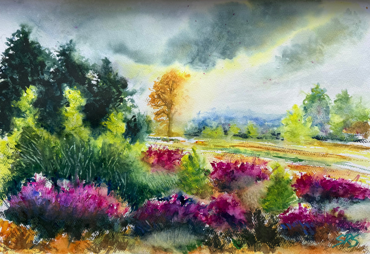 Where the Heather Glows, a painting of Ockham Common, Surrey, with purple heather, dark green trees and golden light beneath grey clouds.